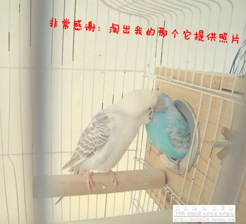 

Nature wood bird nest sparrow,mannikin waxbill house breeding box