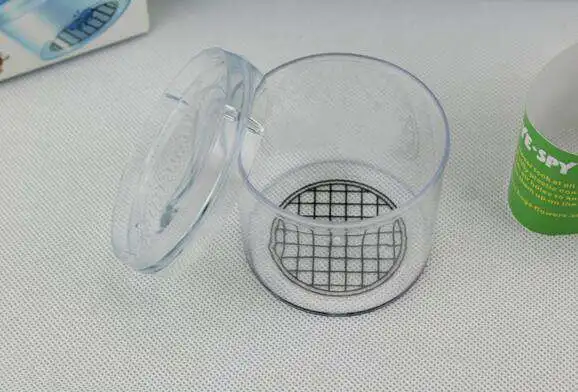 Коробка для просмотра линз с насекомое Magnify коллекция игрушек обсерватория