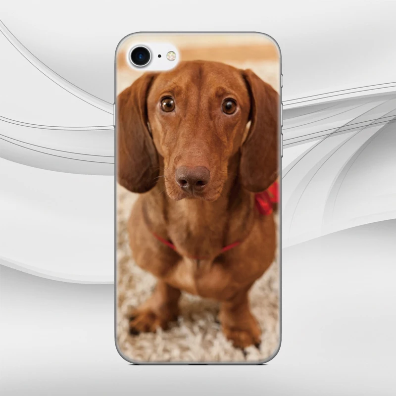 Собака Мягкий ТПУ чехол для телефона для LG Nexus 5x Q6 Q7 V30 V40 V50 G6 G7 G8 ThinQ K11 K10 K9 K8 X Мощность 2 3 Stylo 4 5 Крышка