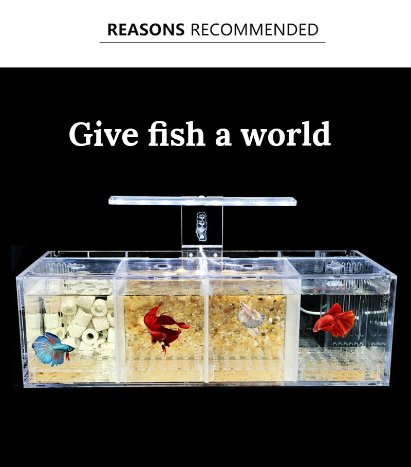 Акриловый изолированный цилиндр Bettas для аквариума, наклонный водяной насос, цилиндр для разведения, детский аквариум Betta, аквариум для разведения Гуппи