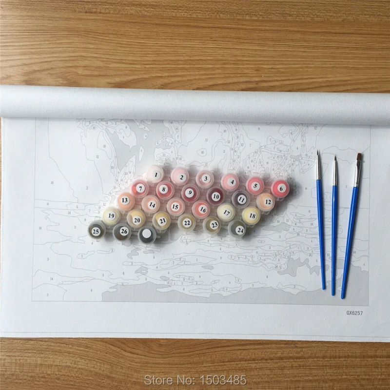 DRAWJOY картины в рамке DIY живопись по номерам DIY Цифровая картина маслом на холсте украшение дома для кухни GX7469 40*50 см