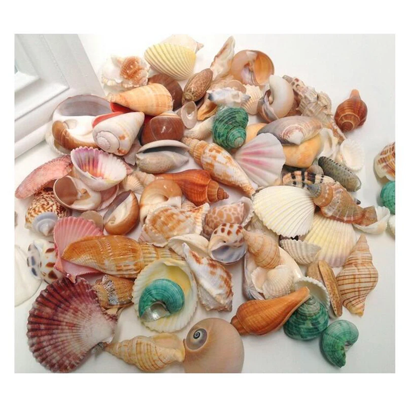Натуральные морские ракушки украшения смешанные в средиземноморском стиле