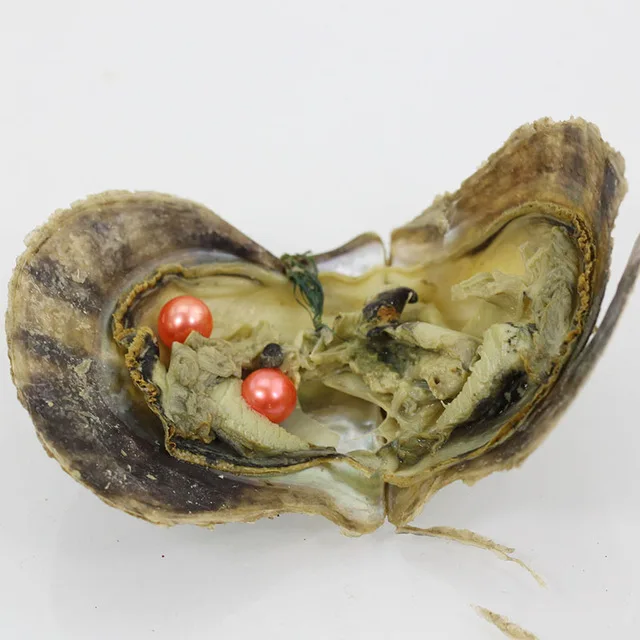 2018 натуральная морская вода Akoya 6-7 мм Круглый двойной жемчуг свободная бусина