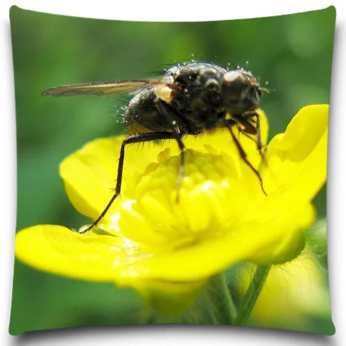 Декоративный чехол с изображением животных черного муравья пчелы |