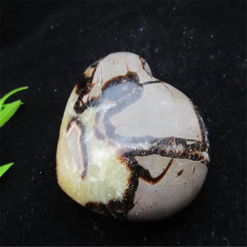 

Natural Malagasy mineral crystal protoplasm, turtle back stone heart, crystal heart