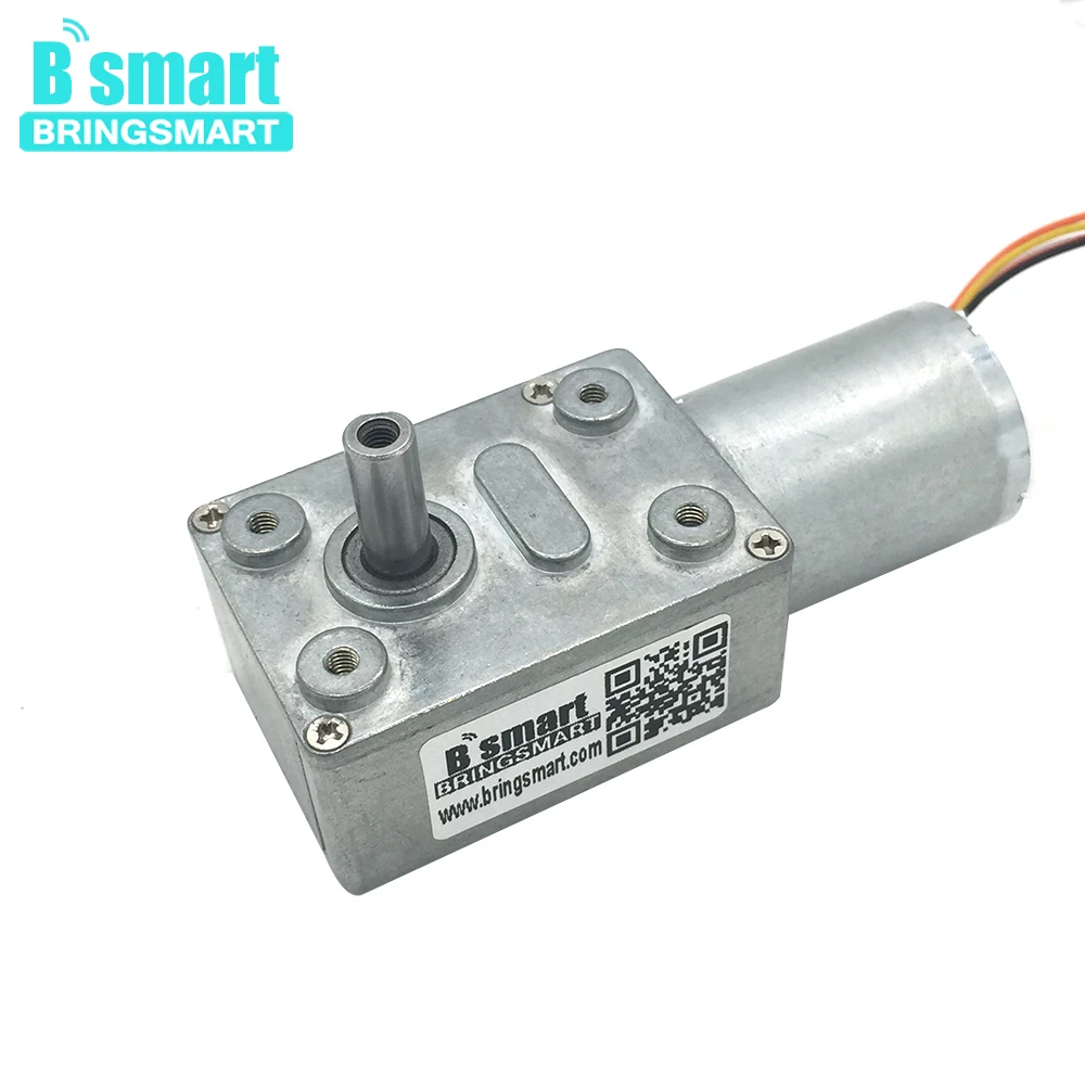 Bringsmart долгий срок службы 12 В BLDC мини-электродвигатель бесщеточный реверсивного мотор-редуктора высокий крутящий момент для бытовой техники DIY 24 В JGY-2430