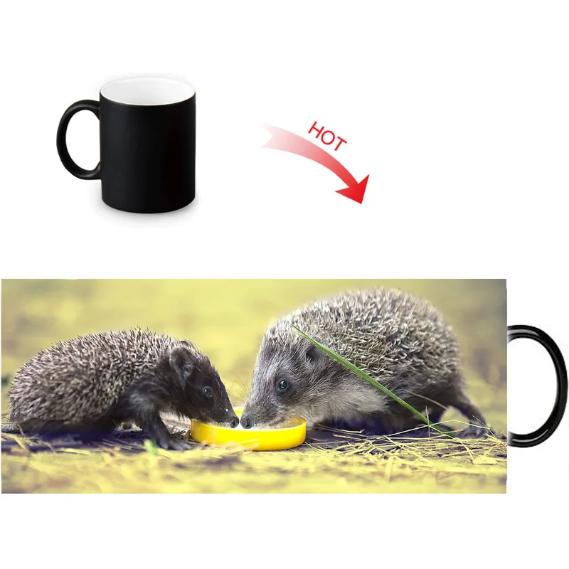 Волшебная кружка hedgehog меняющая цвет чая керамическая под заказ кофейные