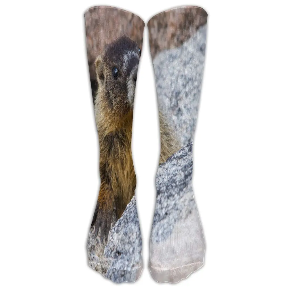 SAMCUSTOM Fashion Knee Socks Women Cotton High Over The Stockings For Ladies cute Marmota 3D Printing Long Stocking | Женская одежда