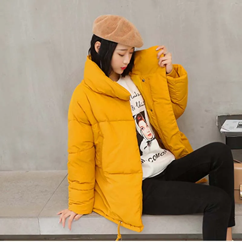 Осенне зимняя куртка женская 2019 модная стойка Женская парка Теплая Повседневная
