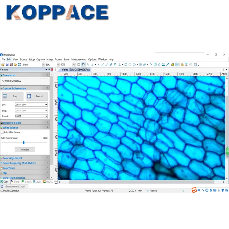 Электронный окуляр KOPPACE 5 миллионов пикселей USB2.0 40 640X Монокуляр электронный