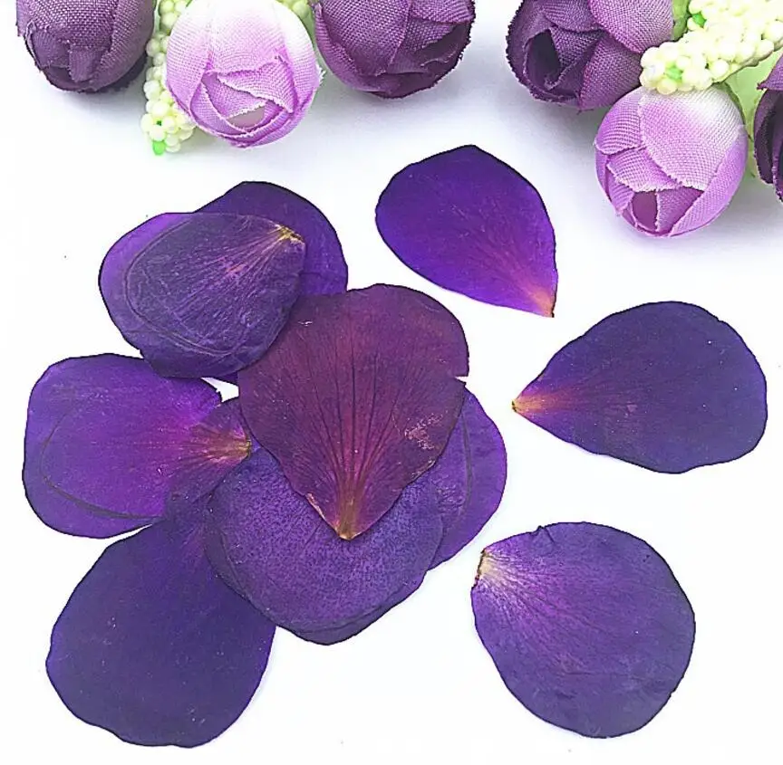

250pcs Pressed Dried Flower Peony petals Filler For Epoxy Resin Pendant Necklace Jewelry Making Craft DIY Accessories