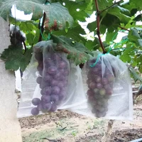 50pcs fruit vegetable insert protection grow bag anti bird plant protective bag drawstring nylon mesh agricultural pest control