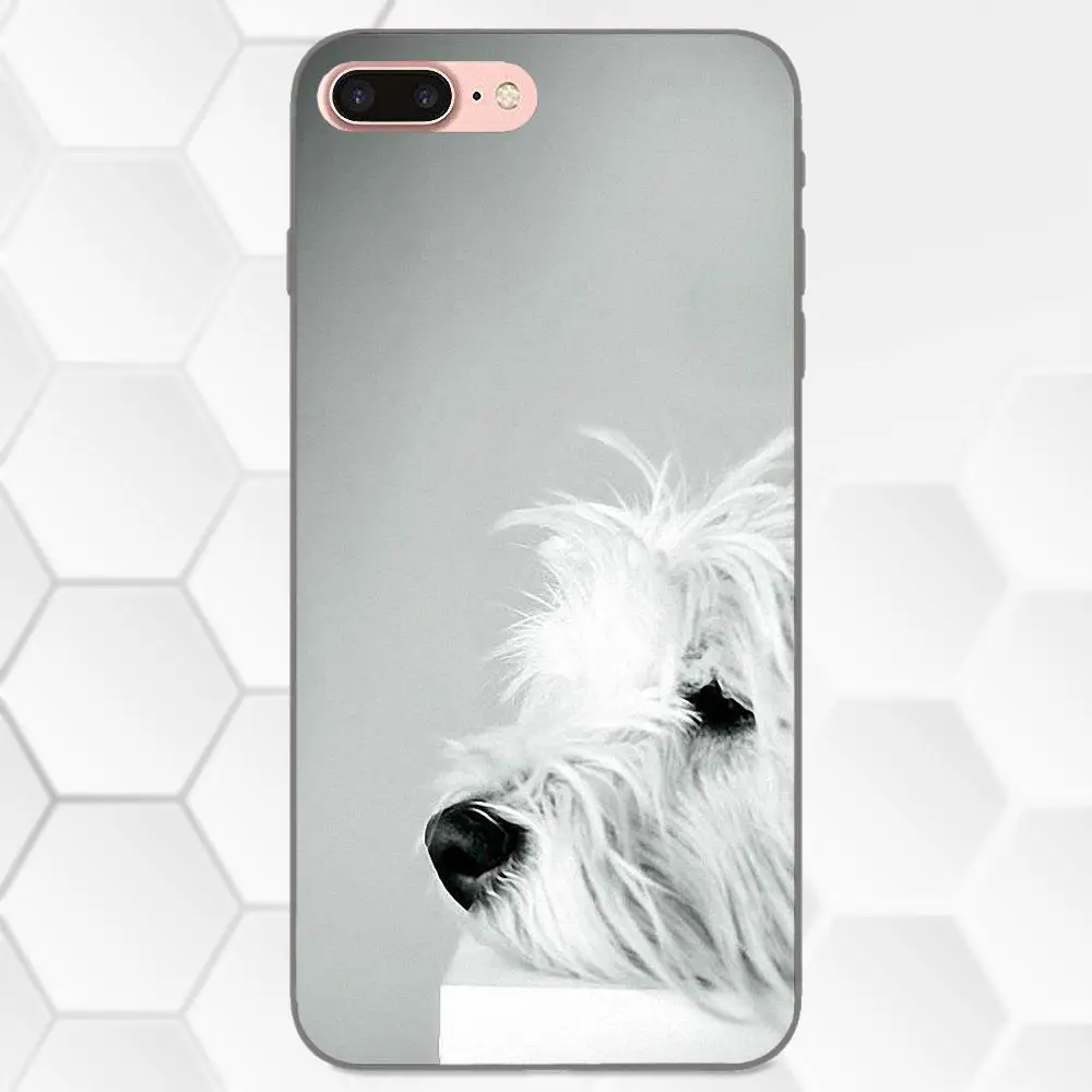 West Highland Terrier Westie щенок для Galaxy C5 C7 J1 J2 J3 J330 J5 J6 J7 J730 2017 Ace Core Duo Max Mini Plus Prime Pro |