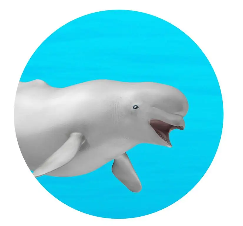 

Custom photo 3d wallpaper Underwater world shark theme space full house background wall living room 3d wall mural wallpaper