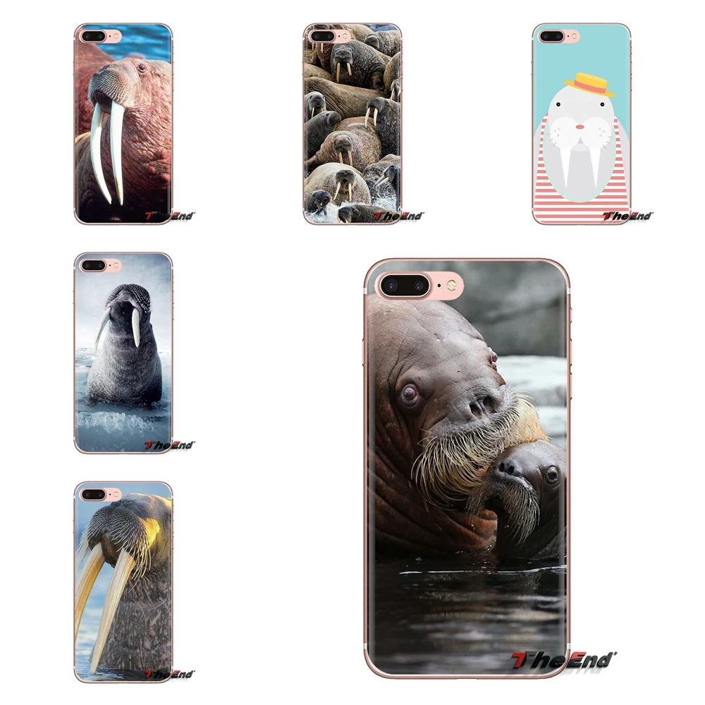 TPU Shell Case Walrus Odobenus rosmarus Russian Arctic For Samsung Galaxy J1 J2 J3 J4 J5 J6 J7 J8 Plus 2018 Prime 2015 2016 2017 |