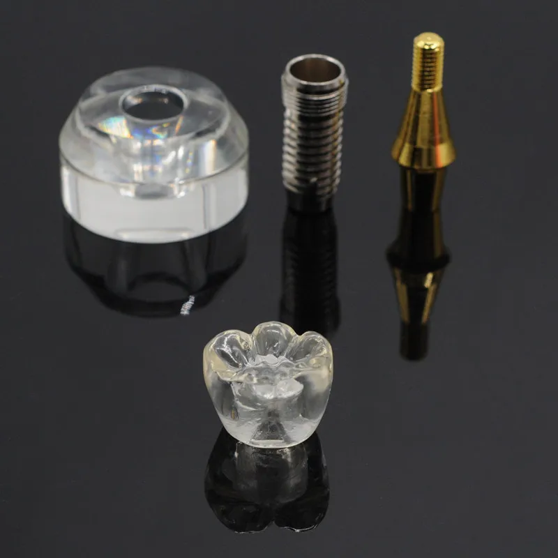 Модель зубного импланта одинарный прозрачный имплантат корона 3 детали съемный