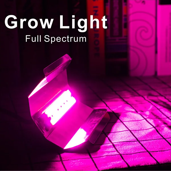 Full Spectrum Phyto светодиодный 80 Вт 50 Вт 30 Вт лампа для выращивания AC110 220 В IP67 прожектор для теплицы цветок растительные гидропоники растения сеялки - Испускаемый цвет: Full Spectrum