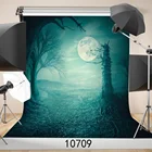 Виниловый фон для фотосъемки с изображением умирающего леса под луной