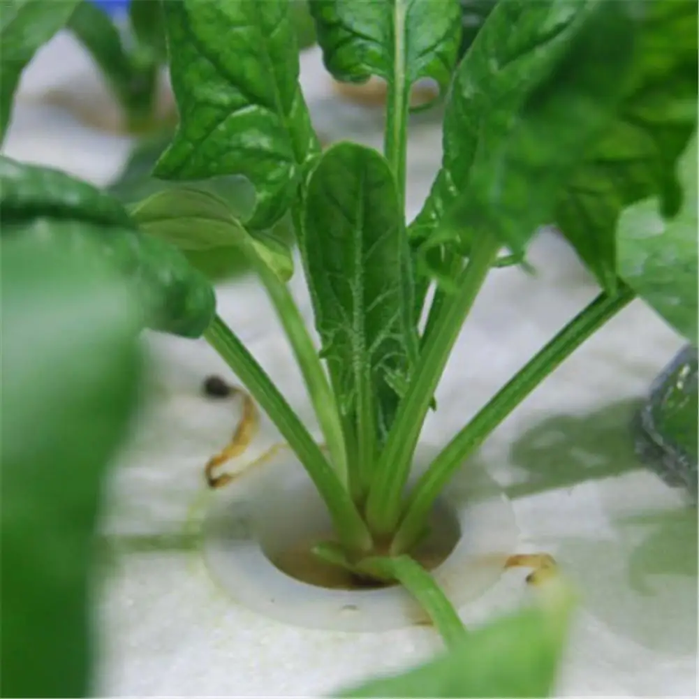 Корзина для посадки гидропонных растений сверхмощный сетчатый горшок сетчатая