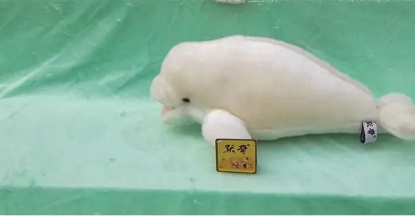 

middle cute plush high quality whale toy plush simulation white whales doll about 40cm