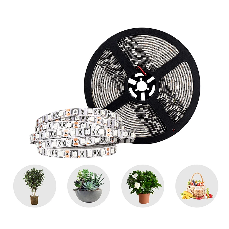 LED Grow Light полный спектр S5050 полоса 3/4/5 красный 1 синий 5 м IP65 DC 12V фитолампа для