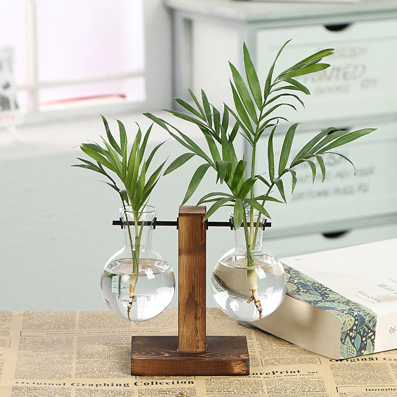 

Modern Vase Natural Wood Transparent Glass Hydroponics Scindapsus Vases Gardening Flower Plant Holder Pot Home Decoration Crafts