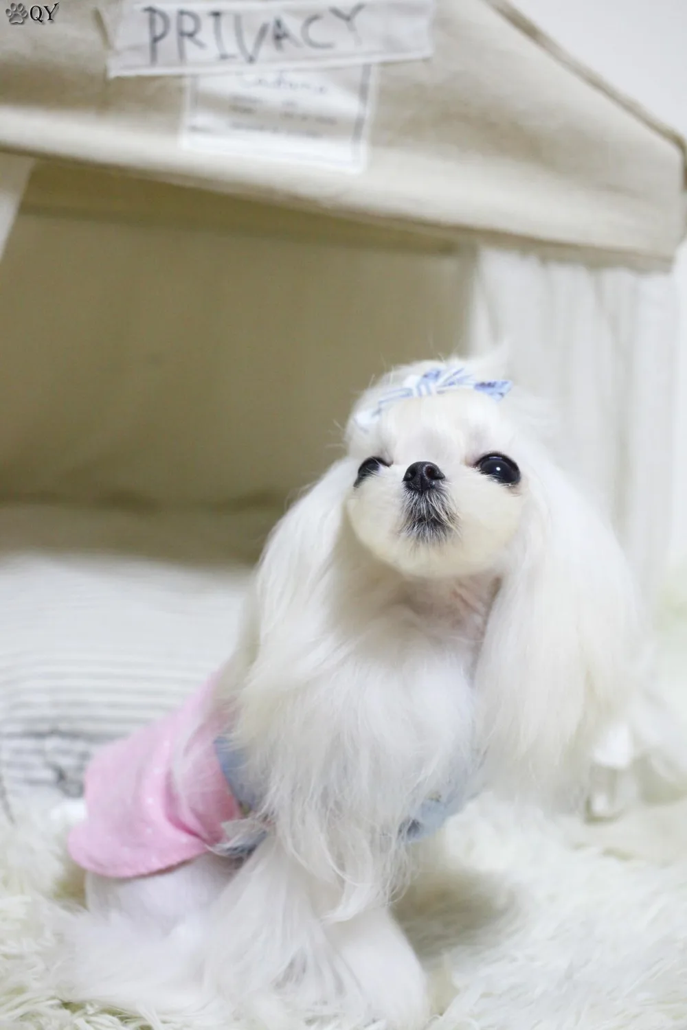 Хлопковое платье в горошек с воротником для питомца щенка кошки собаки одежда