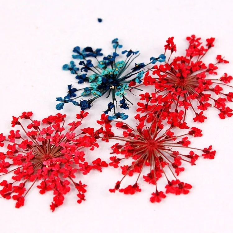 Сушеные Цветочные украшения изделия инструменты фототерапия акриловое стерео