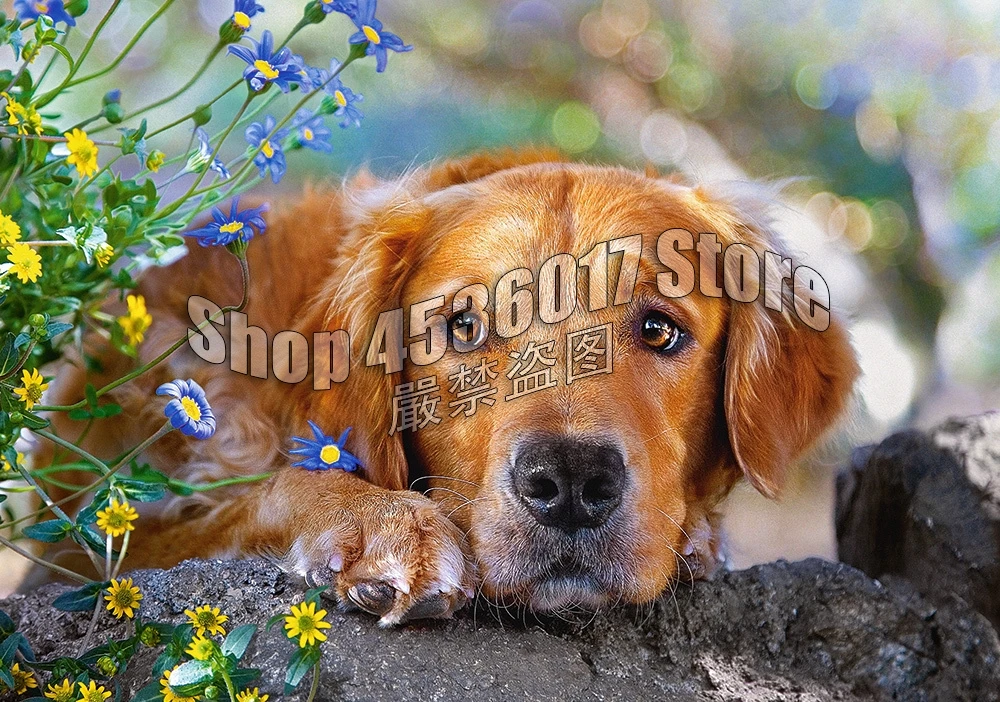 

Алмазная живопись «сделай сам», золотые собаки, садоводство и цветы, искусство, Алмазная мозаика, полностью Алмазная вышивка стразы, подарок ребенку на Рождество