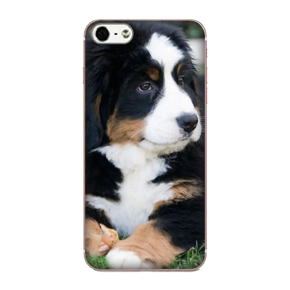 Мягкий художественный чехол Bernese Mountain Dog для Xiaomi Redmi Mi Note 7 8 9 SE Pro Lite Go Play | Мобильные