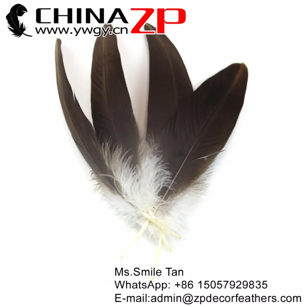 Новый дизайн перо CHINAZP розничная продажа 100 штук 25 ~ 30 см (10 12 дюймов) гладкое