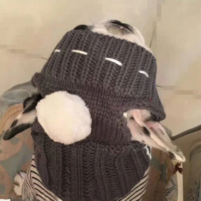 

Winter Dog Warm Caps Christmas Lovely Hats Costume Accessories Woolen Puppy Hat with Cute Ball Headwear for Small Medium Dogs