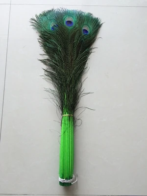 

Wholesale 50pcs beautiful green peacock feather eye 75-80 cm / 30-32 inch decorative celebration