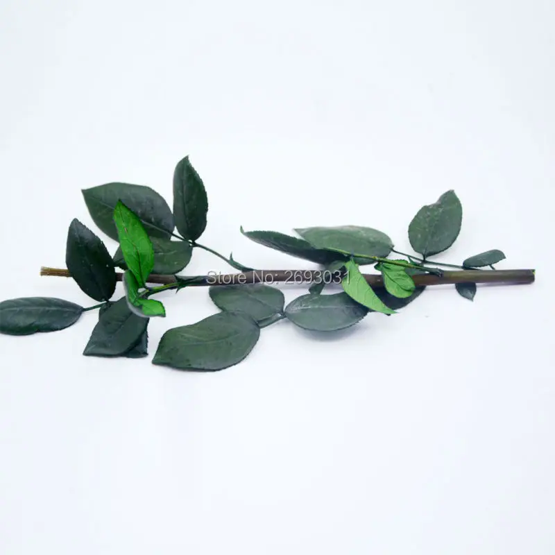 Подарки на день матери натуральный консервированный стержень ветки розы 20 см в