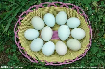Горячие продажи хорошее качество дешевые 2000 pcs/h курица, утка, Гусь яйцо стиральная машина яйцо машина для чистки