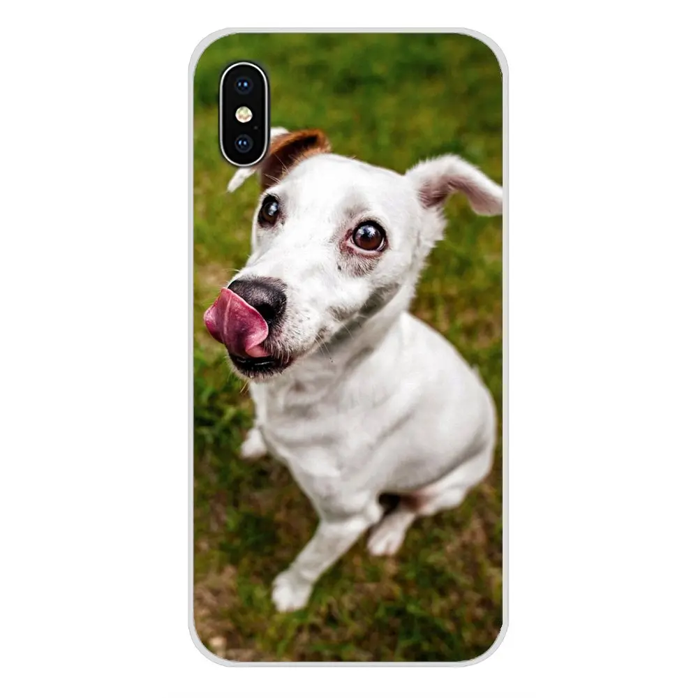 Для Motorola Moto X4 E4 E5 G5 G5S G6 Z Z2 Z3 G G2 G3 C Play Plus Jack Russell Terrier Pop Dog аксессуары чехлы для