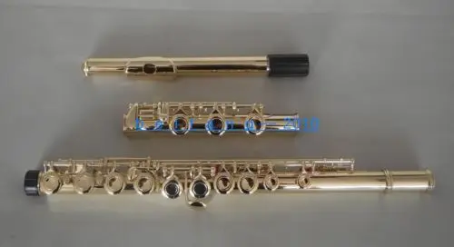 

Excellence 17 closed hole flute C key Gold lacquer Body E key