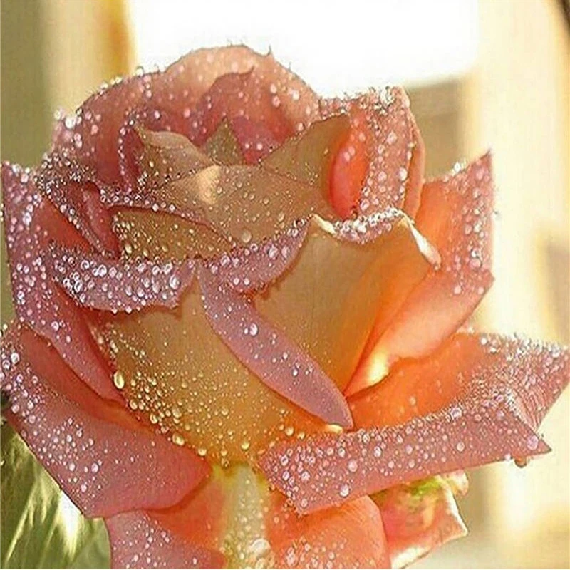 Mosaic embroidery cross stitch rose picture home decor gift Full Square 3D diy diamond painting free kits | Дом и сад