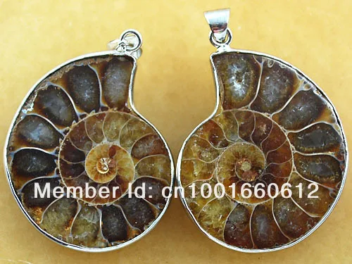 6 пар металлических подвесок из натурального аммонитового камня|pair pendant|stone