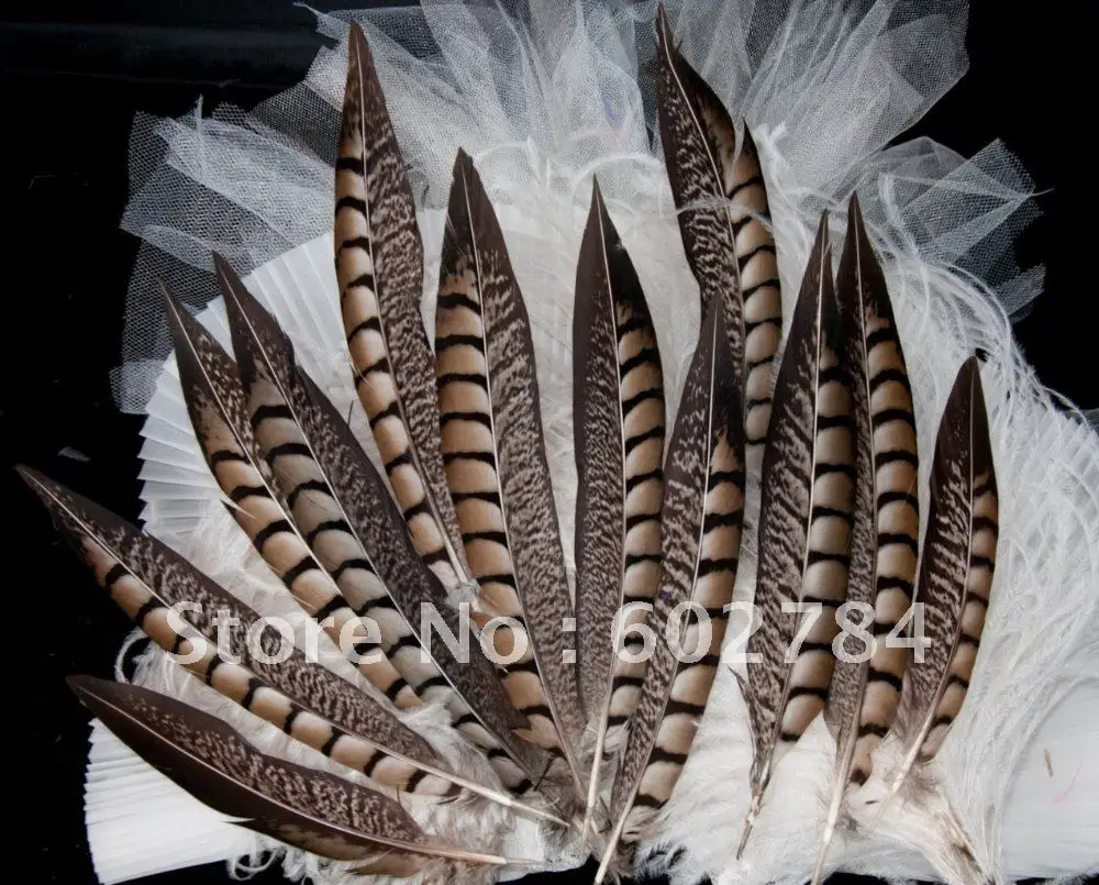 

Free Shipping 100pcs 6-9cm 2-4inches natural pheasant feather tail lady pheasant tail