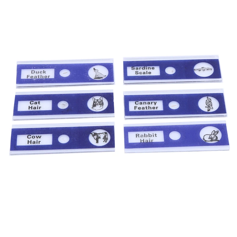 12 шт./компл. животные насекомые цветы растения образец дети студент Обучающие