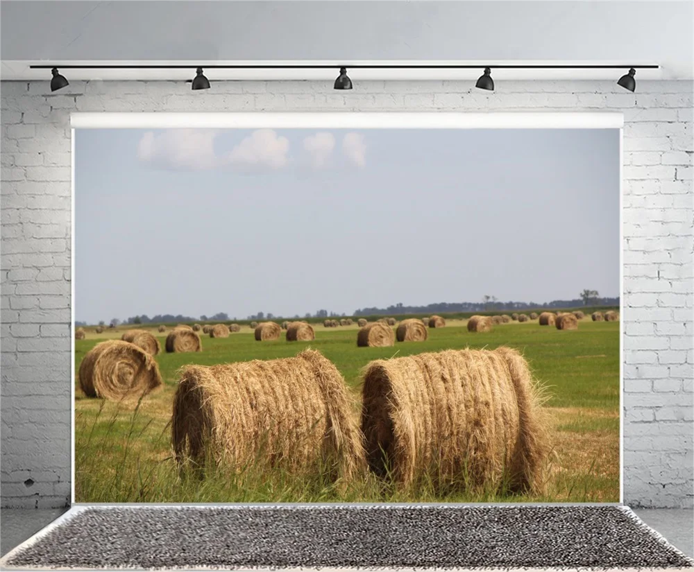 Laeacco Autumn Field Hay Roll Farm Scenic Photography Backgrounds Customized Photographic Backdrops For Photo Studio | Электроника