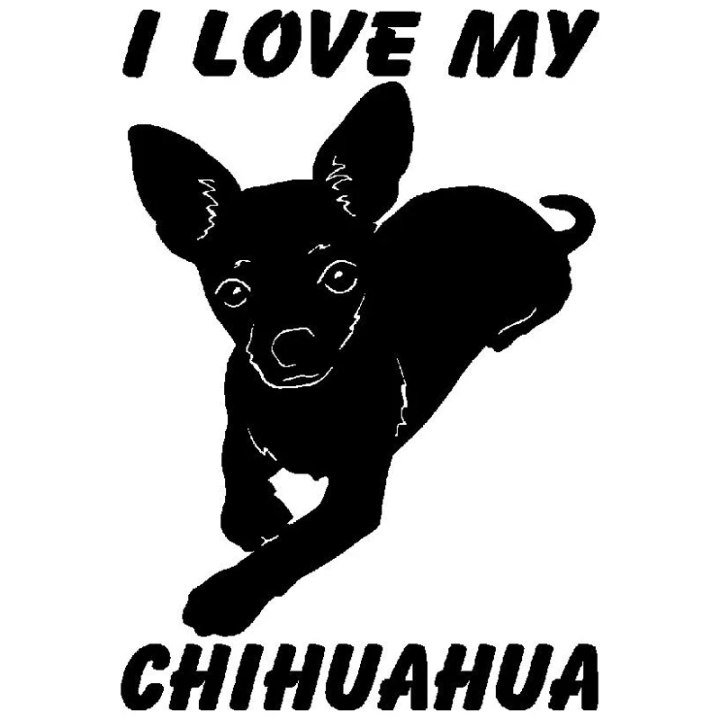 10 3 см * 15 1 I Love My Chihuahua Dog Animal автостайлинг Автомобильная Наклейка | Отзывы и видеообзор