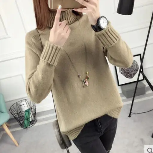 Thick Turtleneck Warm Women Sweater Autumn Winter Knitted Femme Pull High Elasticity Soft Female Pullovers NS8917 | Женская одежда