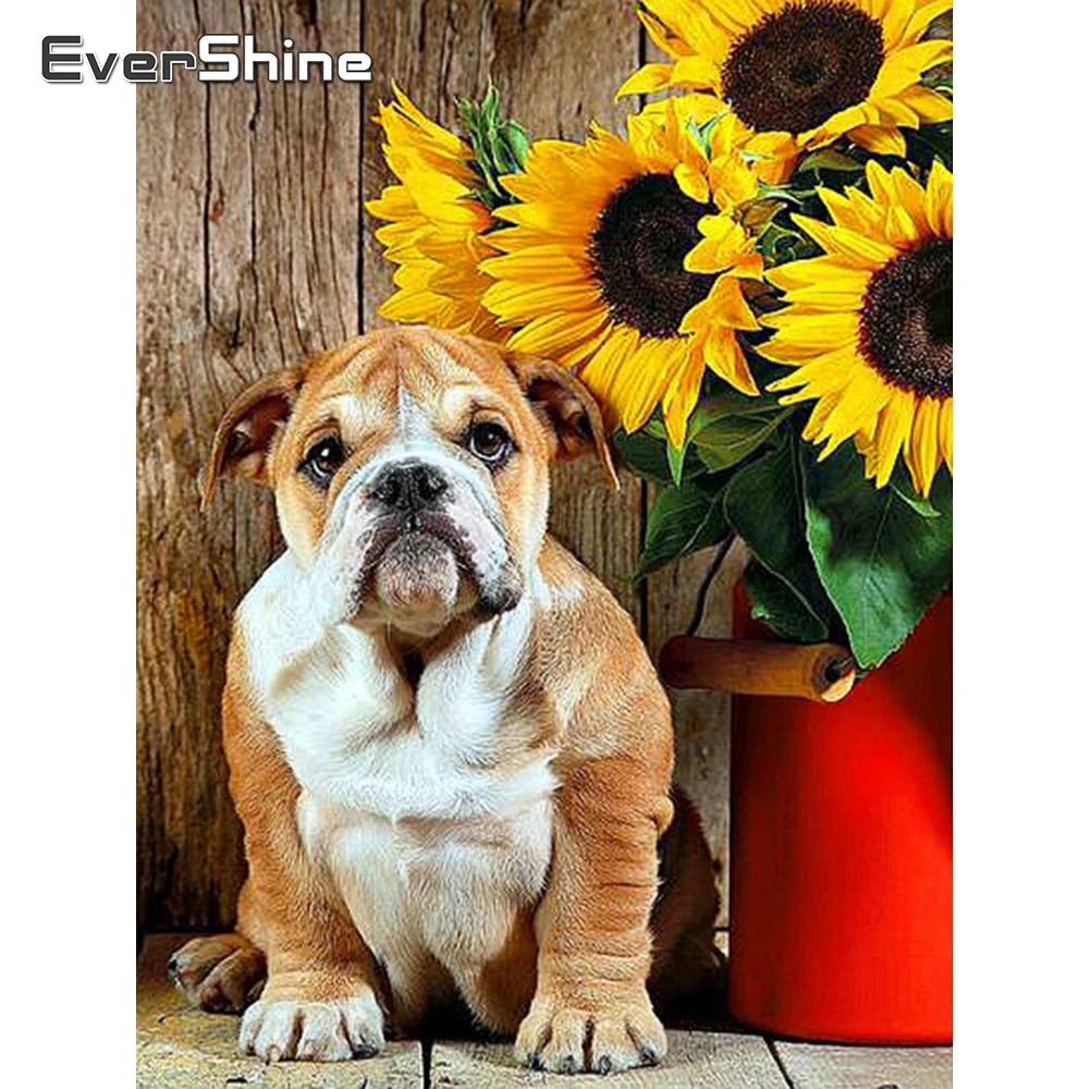 

Evershine алмазная живопись, полная вышивка с квадратными собаками, алмазная вышивка, распродажа, картины с животными Стразы Алмазная мозаика, подсолнух