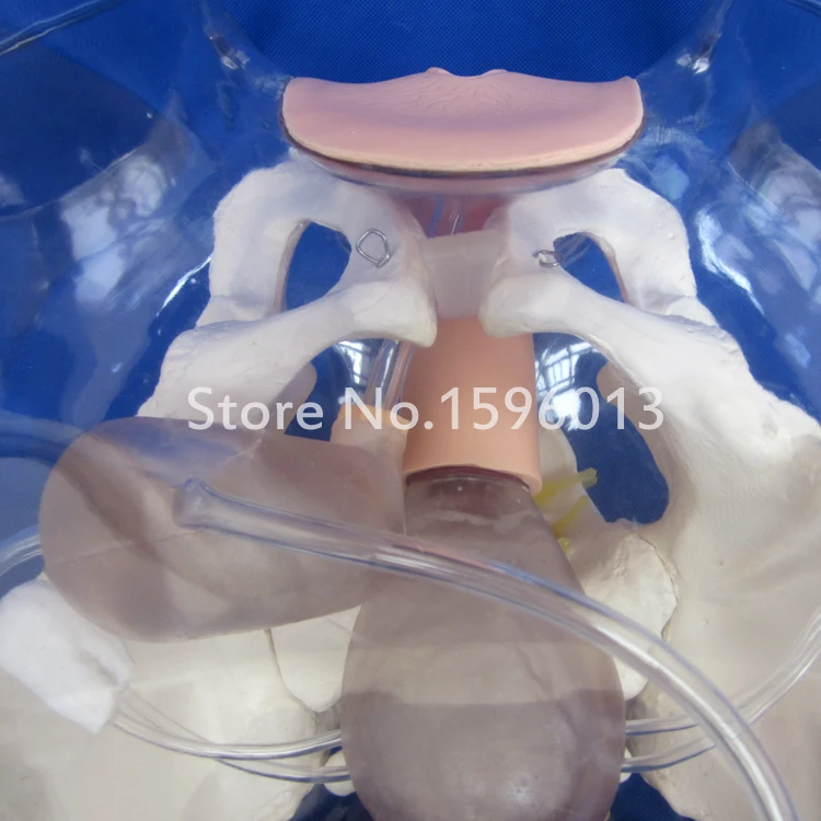 Тренажер для тренировки симулятор катетеризации модель искусственного