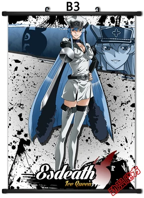 Новый аниме Akame ga KILL Esdeath домашний декор японский плакат настенный прокрутка | Дом