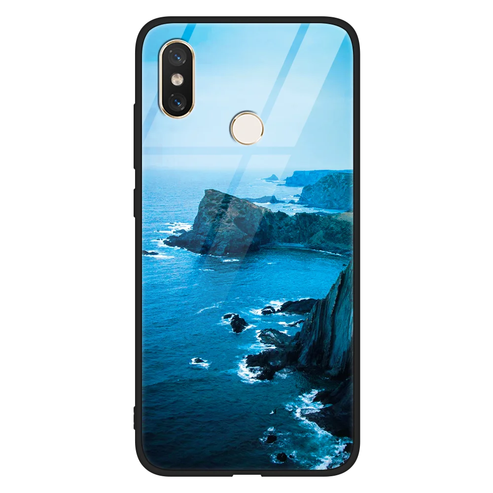 haiwan Стеклянный чехол для Xiao mi Red mi S2 6A 7A Note 5 6 7 K20 Pro Plus mi A3 8 Lite 9 9T для iPhone 6 6s 7 8 Plus 11 Pro X XR XS Max - Цвет: haiwan