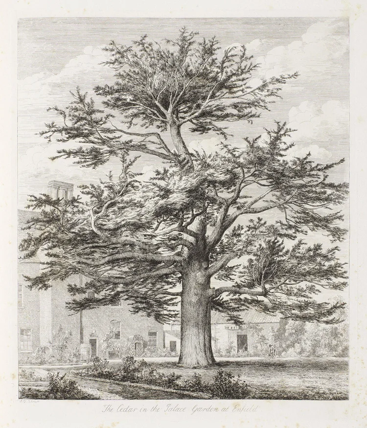 Известные классические безрамочные карандаши в американском стиле домашние