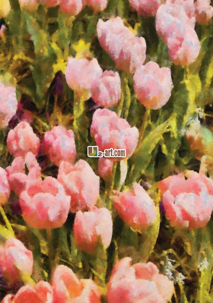 Розовые розы Картина маслом картины повесить на девушки спальни стены красивый